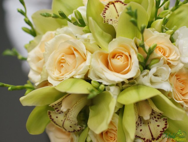 Букет невесты из светло-розовых роз, зеленых орхидей фаленопсис и белых фрезий с белой лентой фото