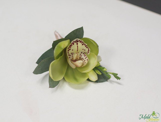 Boutonniere made of orchid and freesia photo