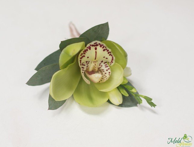 Бутоньерка из орхидеи и фрезии Фото