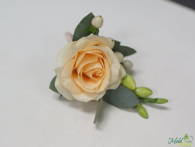 Boutonniere flower made of cream rose, freesia, and hypericum photo