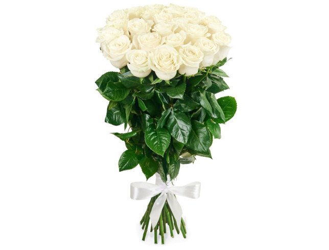 25 premium white roses from Holland 80-90 cm (on order, 10 days) photo