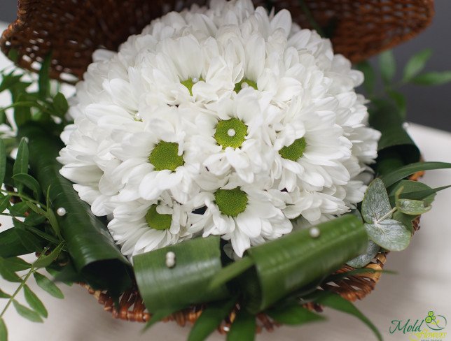 Shell composition of white chrysanthemums photo