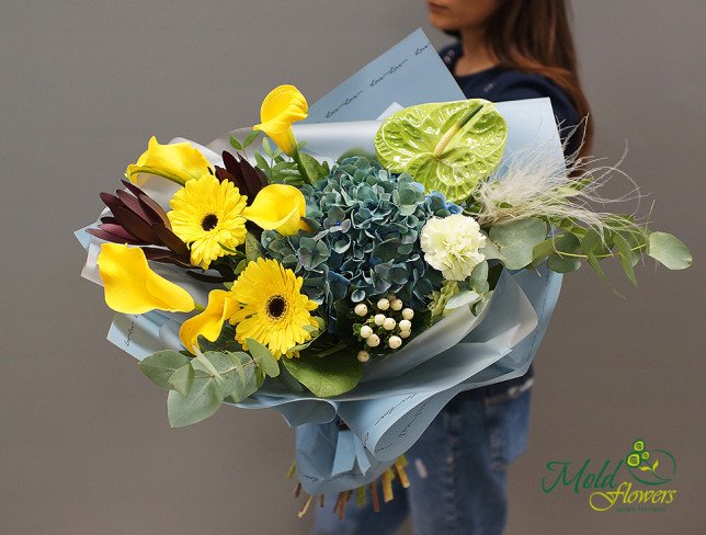 Bouquet of hydrangea, anthurium, leucadendron, gerbera, calla lily, carnations, hypericum, and eucalyptus from moldflowers.md