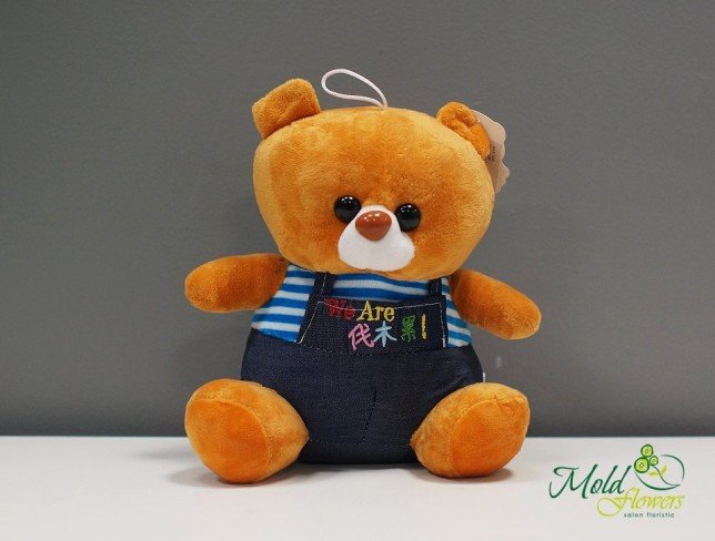 Teddy bear 24 cm photo