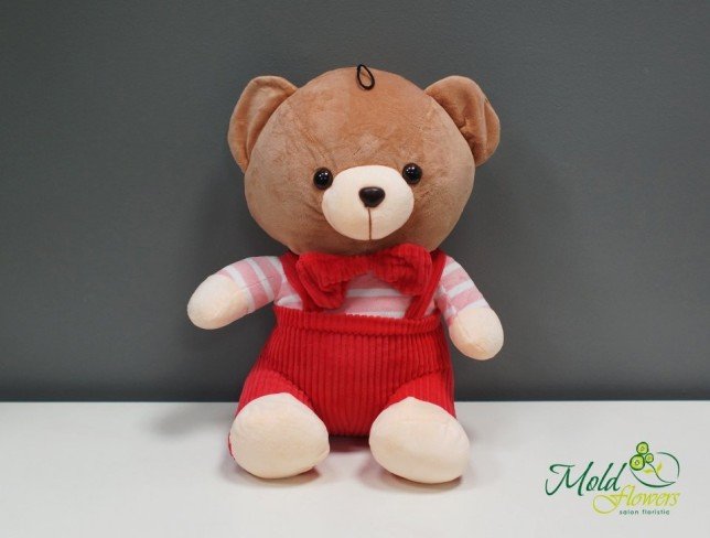 Teddy bear 35 cm photo