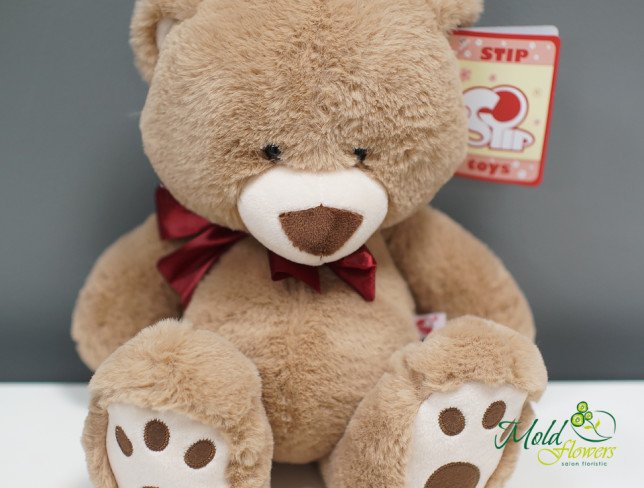 Teddy Bear Mika h=37 cm (Beige) photo