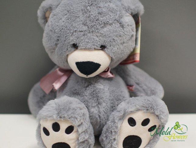 Teddy Bear Mika h=37 cm (Gray) photo