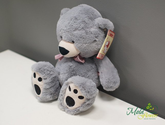 Teddy Bear Mika h=37 cm (Gray) photo
