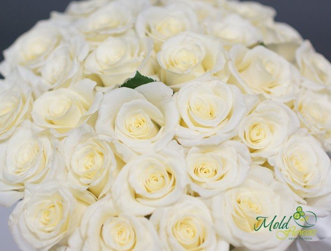 Розы белые в серой коробке от moldflowers.md