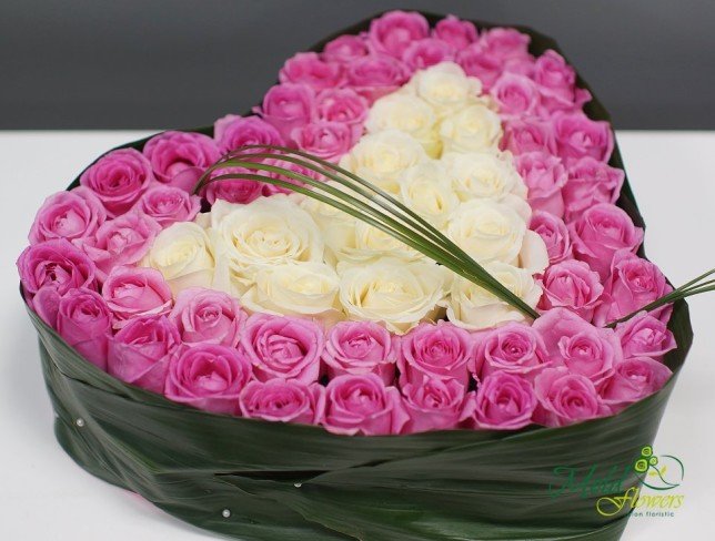Heart composition of white and pink roses photo