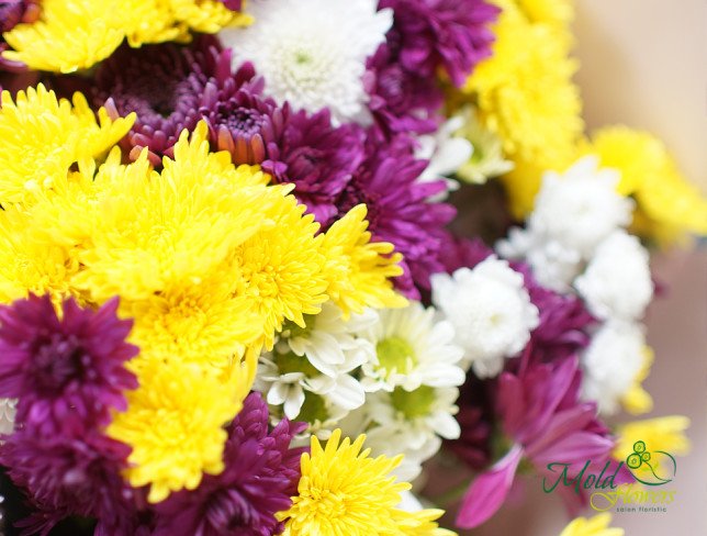 Bouquet of Multicolored Chrysanthemums from moldflowers.md