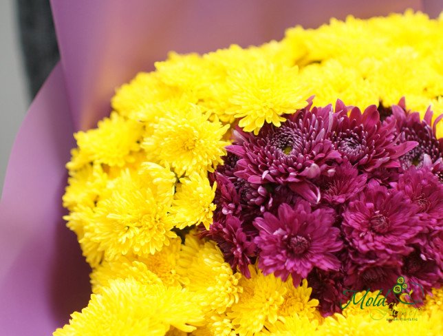 Bouquet with yellow and pink chrysanthemums, wrapped in purple paper