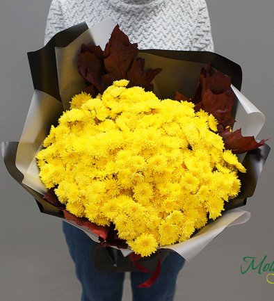 Bouquet of yellow chrysanthemums photo 394x433