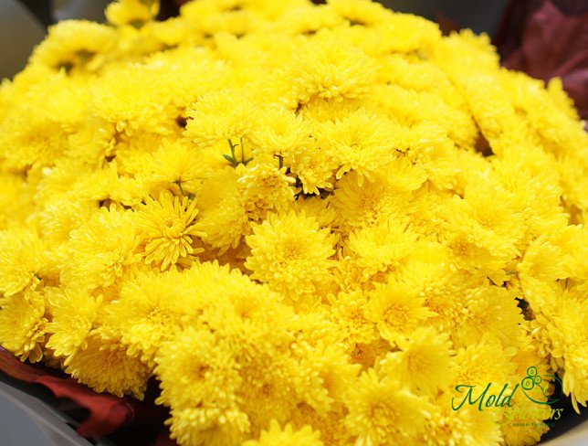 Bouquet with yellow chrysanthemums, decorated with red leaves, in black and white paper