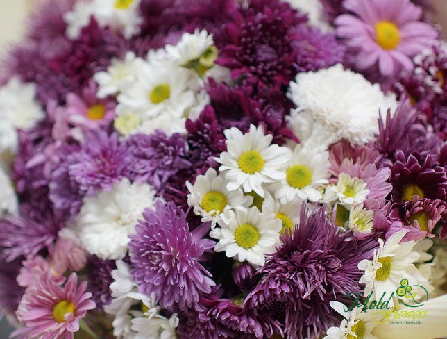 Bouquet with purple, white, and pink chrysanthemums, in cream and pink paper