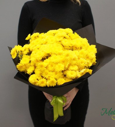 Bouquet of yellow chrysanthemums in black paper photo 394x433