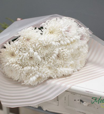 Crizantemă sferică albă  (La comanda 10 zile ) foto 394x433