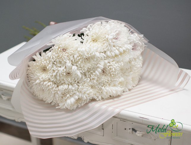 Crizantemă sferică albă foto