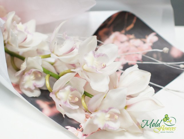 Buchet din orhidee albă foto