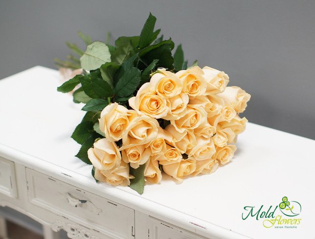 Bouquet of 25 Cream Roses, 50-60 cm, from moldflowers.md