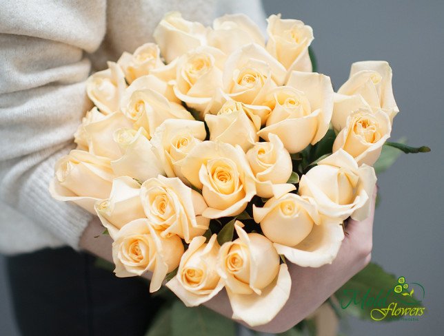 Buchet din 25 trandafiri crem 50-60 cm de la moldflowers.md