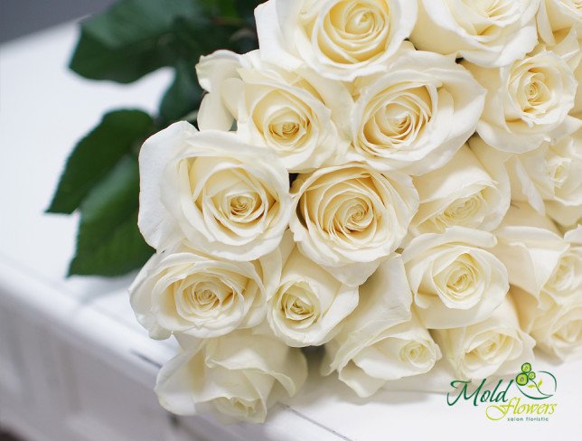 Bouquet of 25 white roses 50-60 cm from moldflowers.md