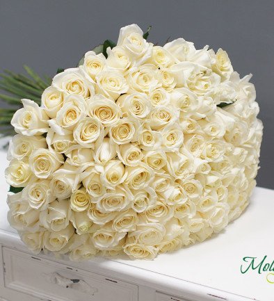101 Белая роза голландская 60-70 см 2 Фото 394x433