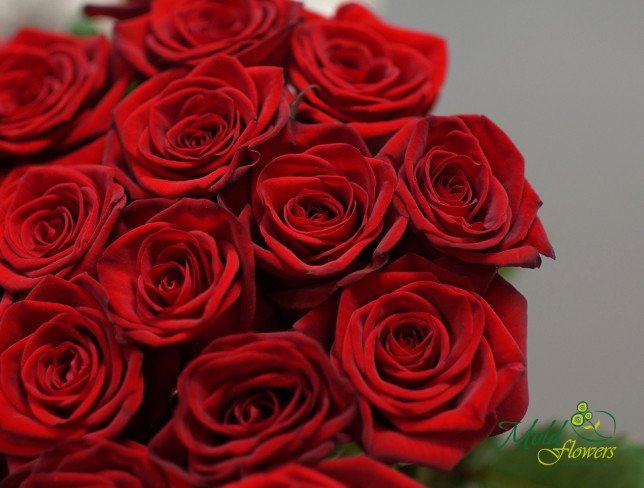 Buchet din 25 trandafiri rosii 50-60 2 de la moldflowers.md