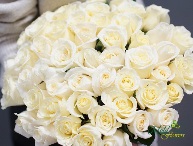 Bouquet of 51 white roses 30-40 cm from moldflowers.md
