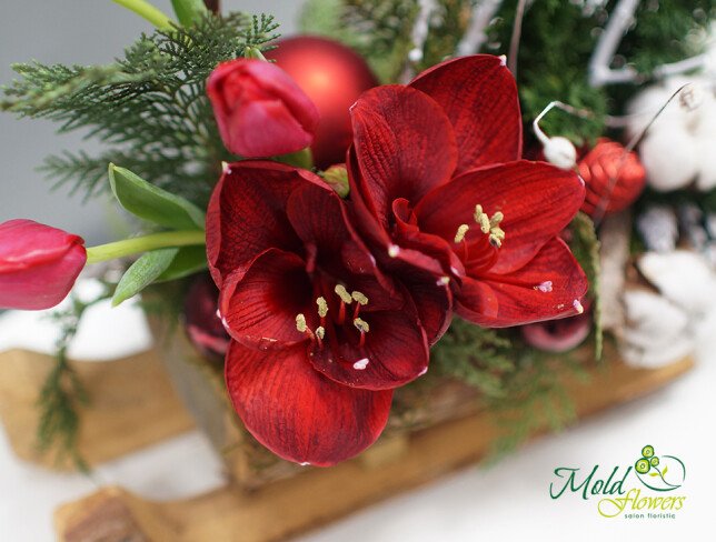 New Year's sleigh with spruce branches, cones, red Christmas toys photo