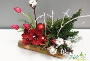New Year's toboggan — photo 3
