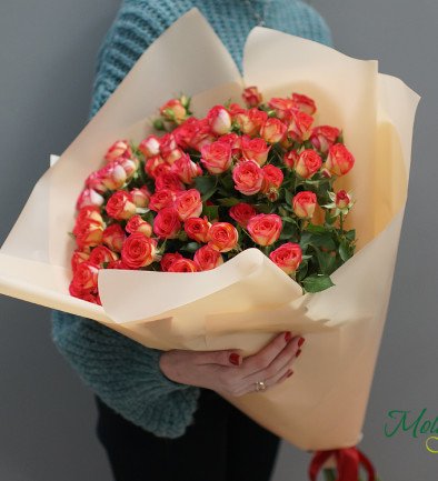 Bouquet of Shrub Roses ''Ruby Star'' photo 394x433