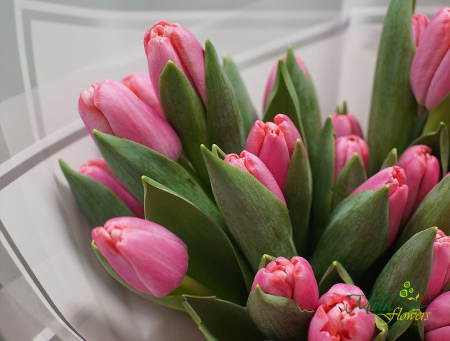 Букет "Воздушный поцелуй" из розовых тюльпанов от moldflowers.md