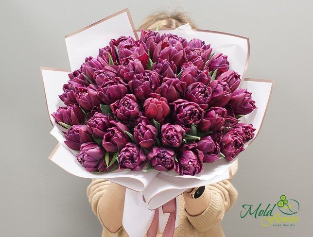 Тюльпан пионовидный фиолетовый Фото