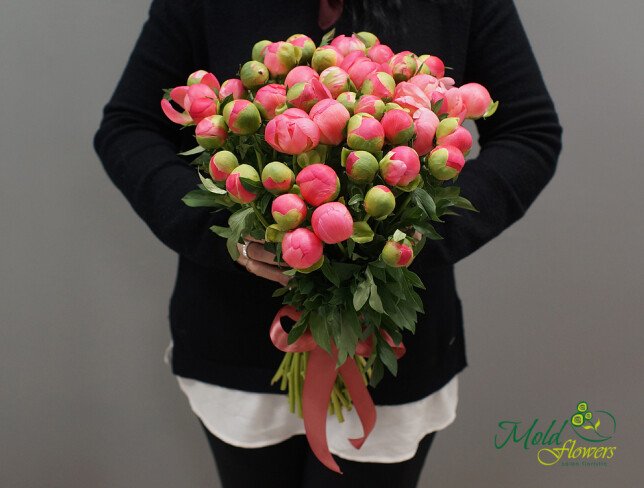 Buchet din bujori coral olandez de la moldflowers.md