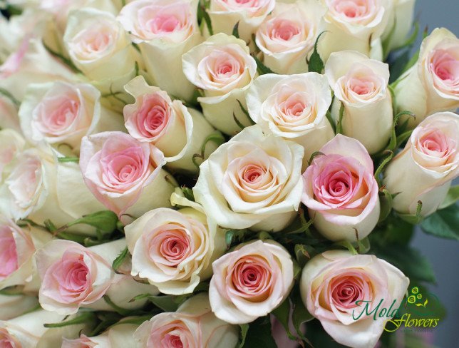 Букет из бледно розовых голландских роз 30-40 см от moldflowers.md