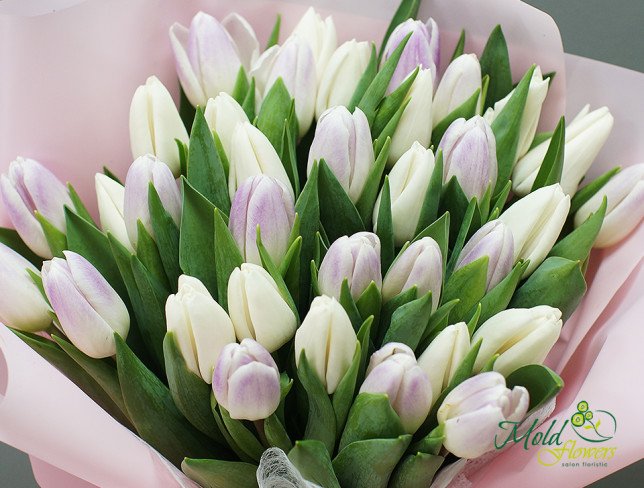 Букет из белых и светло-фиолетовых тюльпанов от moldflowers.md