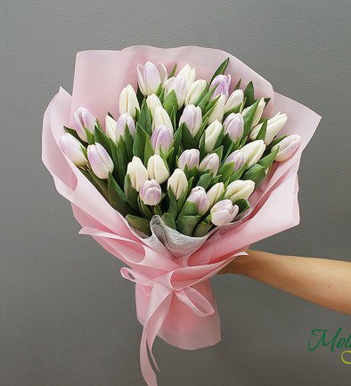 Bouquet of Dutch tulips ''Spring Perfume'' photo 394x433