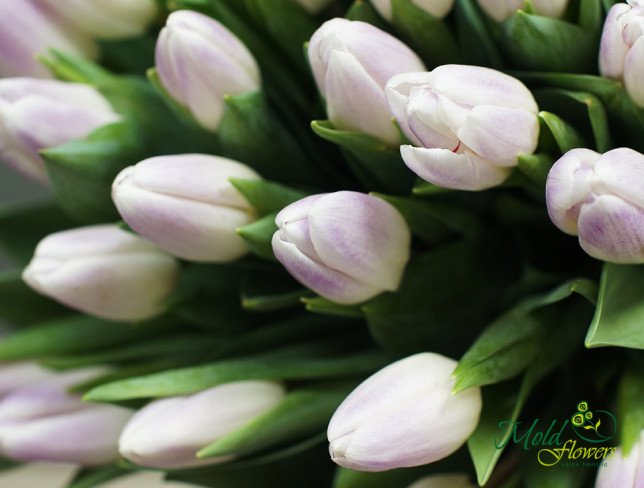 Букет из светло-фиолетовых тюльпанов от moldflowers.md