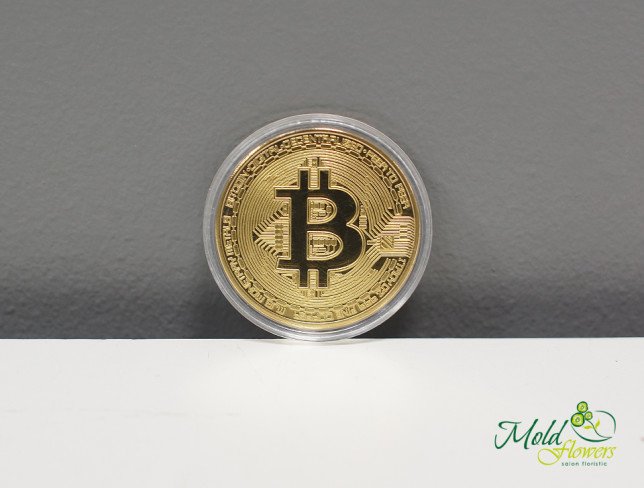 Биткоин - сувенирная монета Фото
