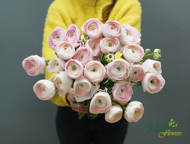 Ranunculus roz deschis (la comanda, 10 zile) foto