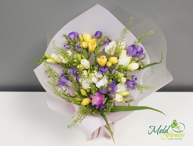 Букет из 19 разноцветных фрезий от moldflowers.md