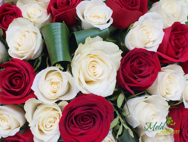 Корзина с красными и белыми розами (100 шт.) Фото