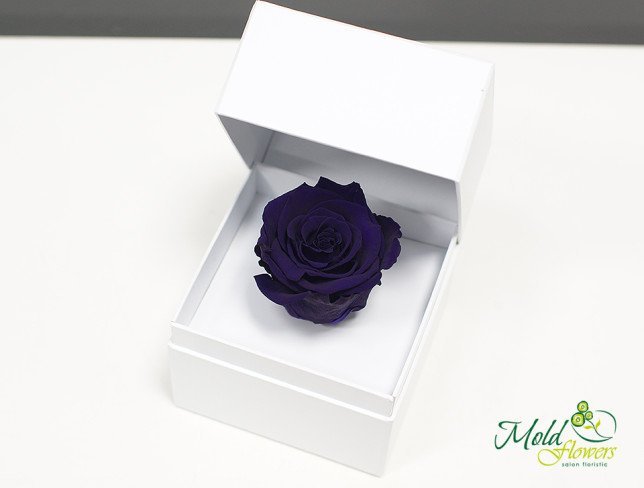 Box with everlasting rose (purple) photo