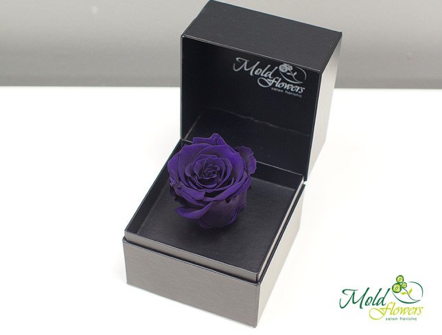 Box with eternal rose (purple) photo