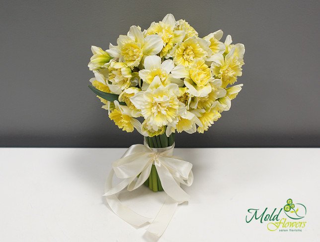 White Narcissus photo