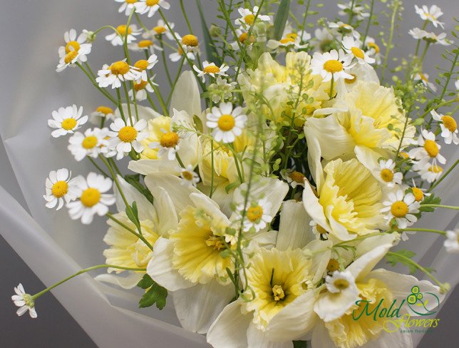Bouquet of Daffodils and Rosemary photo
