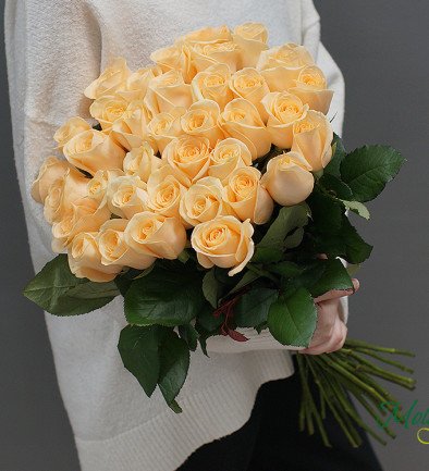 Роза кремовая 50-60 см Фото 394x433