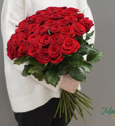 Роза Красная голландская 50-60 см Фото 394x433