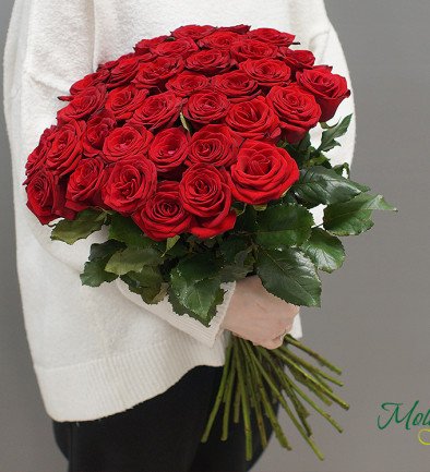 Dutch Red Rose 50-60 cm photo 394x433